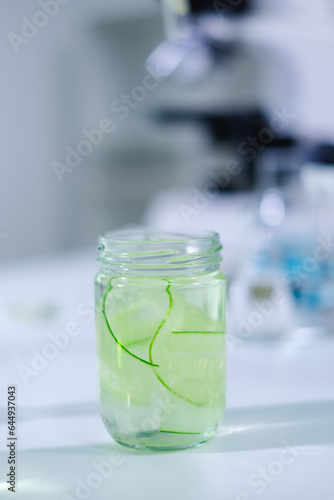 A sliced of cucumber tissue sample in glass bottle for experiment or research of body skin care, cosmetic, treatment, serum or medical moisturizer essence. Developing quality of product in laboratory.