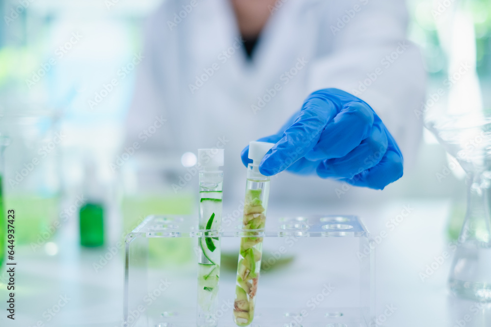 Sample of cucumber, avocado and kiwi tissue in test tube for fruit skin care essence, moisturizer, serum medical, treatment and mask gel product quality control or research and experiment laboratory. Sample of cucumber, avocado and kiwi tissue in test tube for fruit skin care essence, moisturizer, serum medical, treatment and mask gel product quality control or research and experiment laboratory.