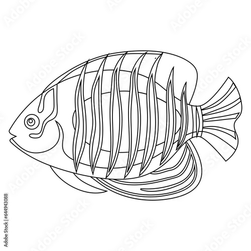 illustration of a royal angelfish