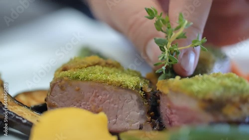 Professional chef putting the finishing touches on a plate of meat, close-up. Slow motion.