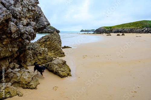 View on Playa de Borizo in Celorio, Green coast of Asturias, North Spain with sandy beaches, cliffs, hidden caves, green fields and mountains. photo