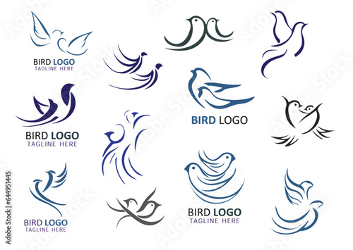 Fototapeta Naklejka Na Ścianę i Meble -  Vector flying birds logo, illustration, colorful style wording identity for business
