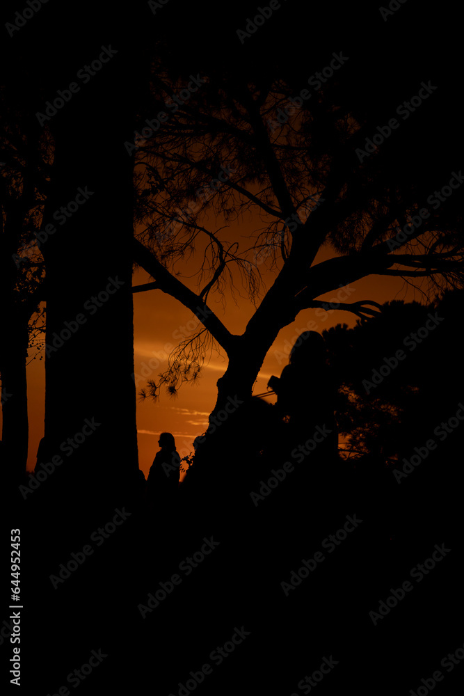Sunset. Colorful sunset with the silhouettes of trees and people at the colorful sunset in a park in Madrid. Spain. Photography.