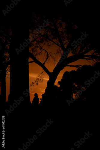 Sunset. Colorful sunset with the silhouettes of trees and people at the colorful sunset in a park in Madrid. Spain. Photography.