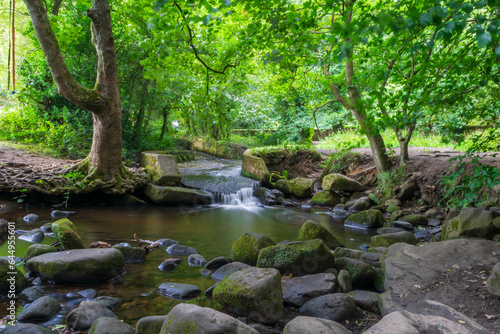 waterfall in the forest