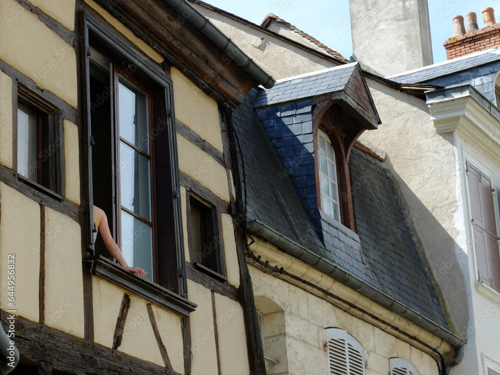 Obraz premium Bourges - les marais