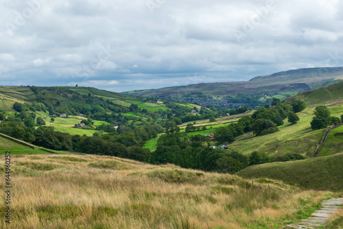 landscape in the summer