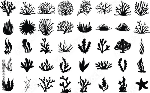 Big collection of oral silhouettes, isolated underwater elements vector 