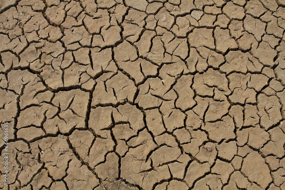 cracks in the dried soil formed a bizarre pattern cracks in the dried soil formed a bizarre pattern