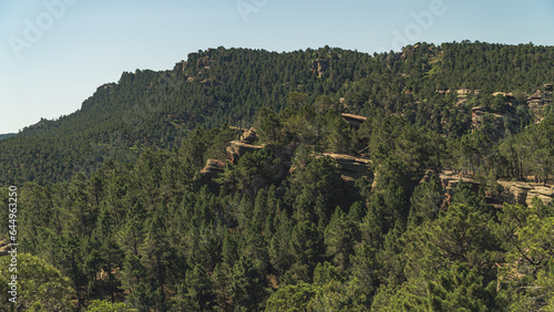 pinares de rodeno, situado en albarracin, teruel photo
