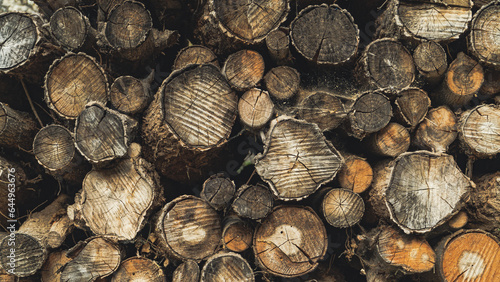 logs arranged in a woodshed
