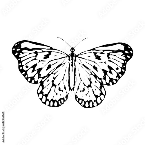 Photography Lino cut butterfly silhouette