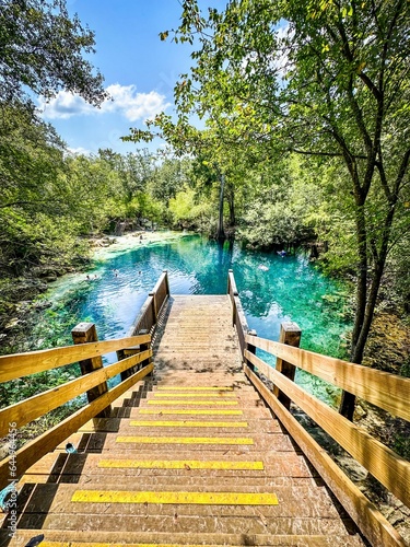 Jump platform over the aqua spring waters surrounded by lush forest  Royal Springs  County Park  Florida