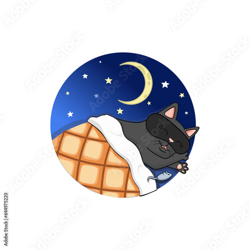 Black Cat Sleeps