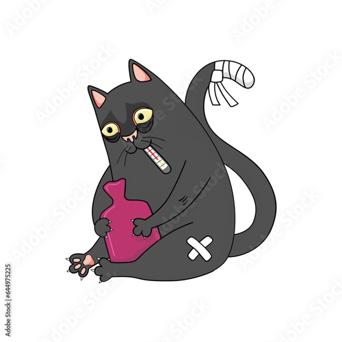 Black Ill Cat With Hot Water Bottle