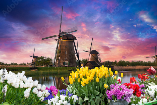 Windmill in Holland Michigan - An authentic wooden windmill from the Netherlands rises behind a field of tulips in Holland Michigan at Springtime. High quality photo photo