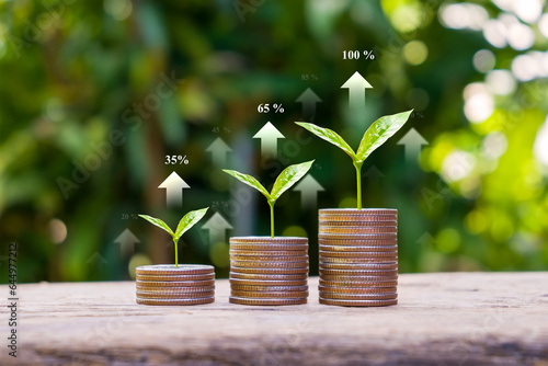 Seedlings are growing on coins with arrows of business growth. Money growth concept, finance, investment, business growth, and profit.