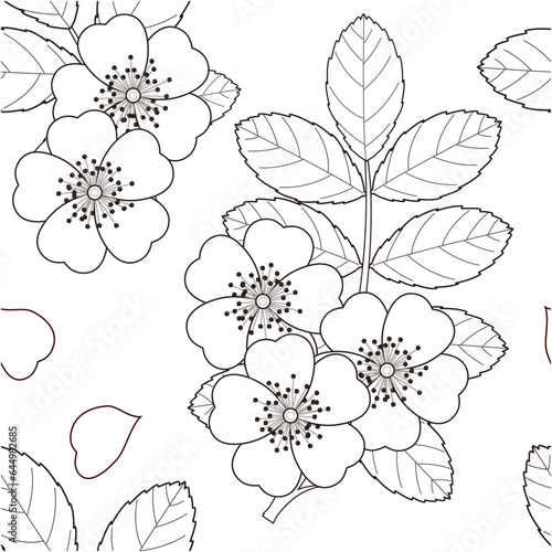 Seamless pattern of wild roses