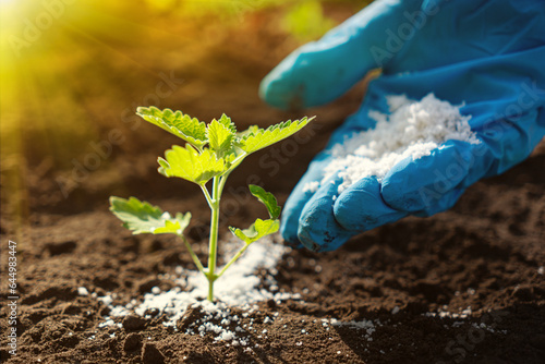 Fotografie use organic fertilizer for organic farming or gardening hand holding fertilizer