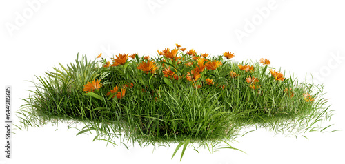 PNG Green grass field and flower, 3d illustration rendering