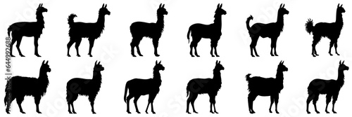 Llama alpaca silhouettes set  large pack of vector silhouette design  isolated white background