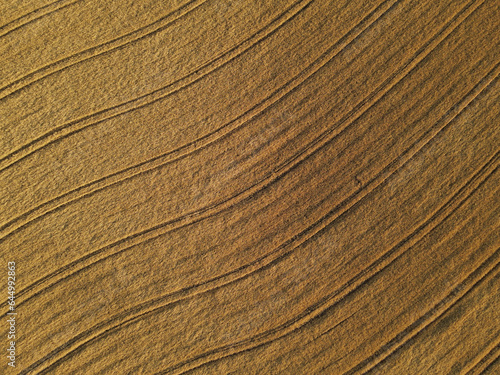 Gold colored crop field from above in summer