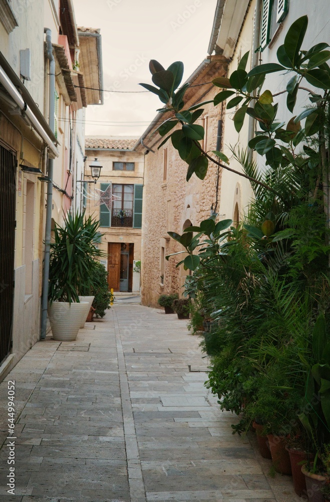 narrow street of alcudia mallorca