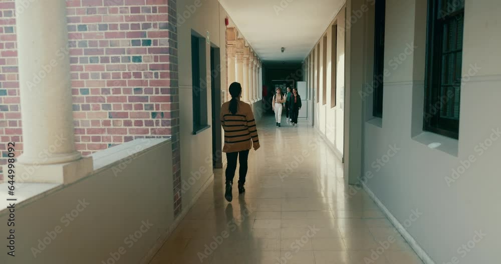 University, students and walking to class on campus for learning, knowledge and studying with timelapse. Education, college and group of people at school in hallway or corridor traveling fast University, students and walking to class on campus for learning, knowledge and studying with timelapse. Education, college and group of people at school in hallway or corridor traveling fast