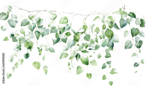 Watercolor vines jade color on Transparent Background