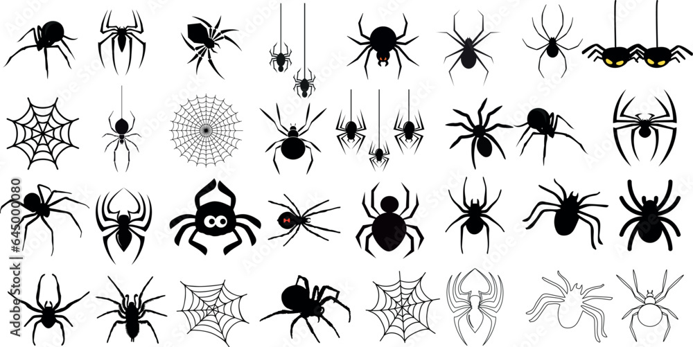 Spider vector illustration, collection of different spider types, isolated on white background. for web design, educational projects, Halloween decorations, or any other creative use, arachnids. - obrazy, fototapety, plakaty 