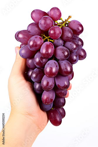 A hand holding a bunch of ripe grapes symbolizing the peak season of wine harvesting isolated on a white background 