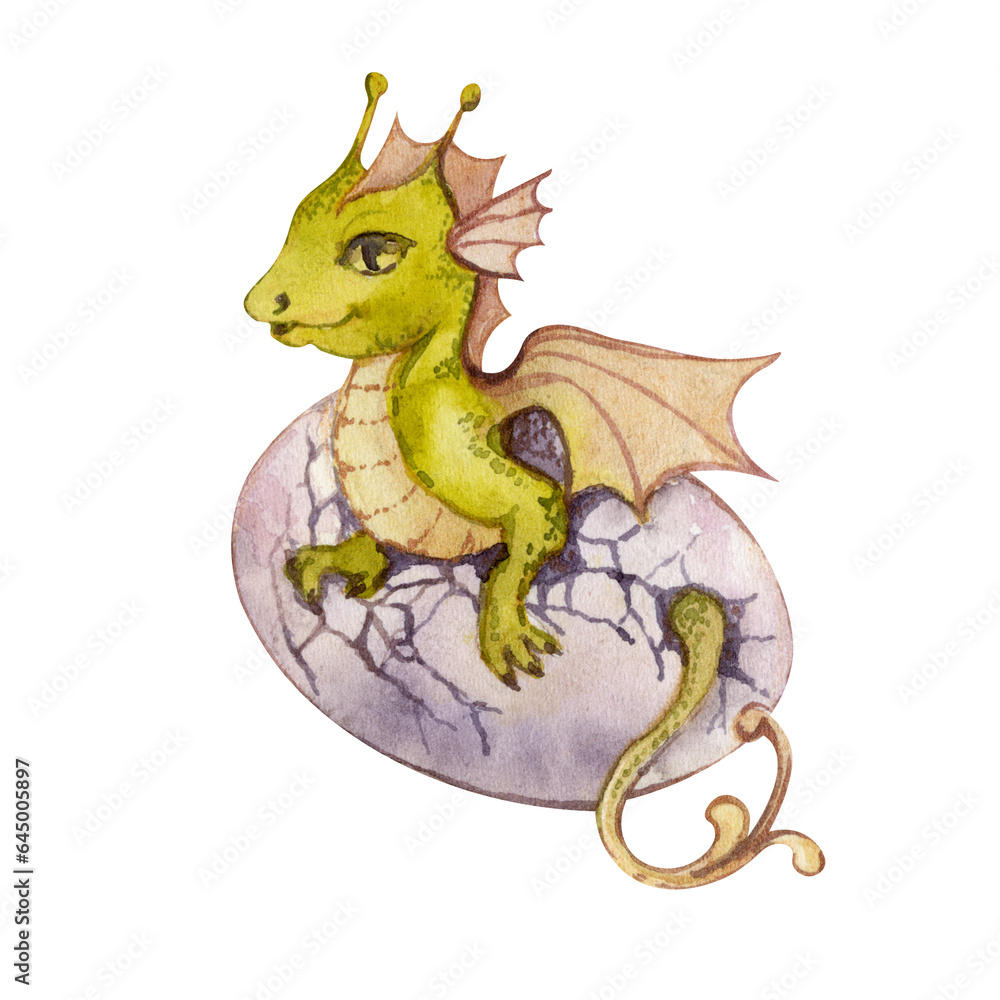 Fototapeta premium Baby dragon on white background. Handdrawn dragon. Fantasy illustration. Fairy tale. Walercolor illustration