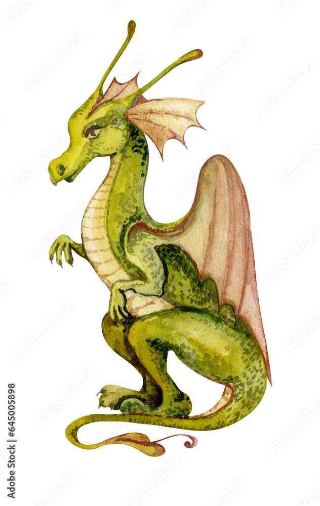 Green dragon on white background. Handdrawn dragon. Fantasy illustration. Fairy tale. Walercolor illustration