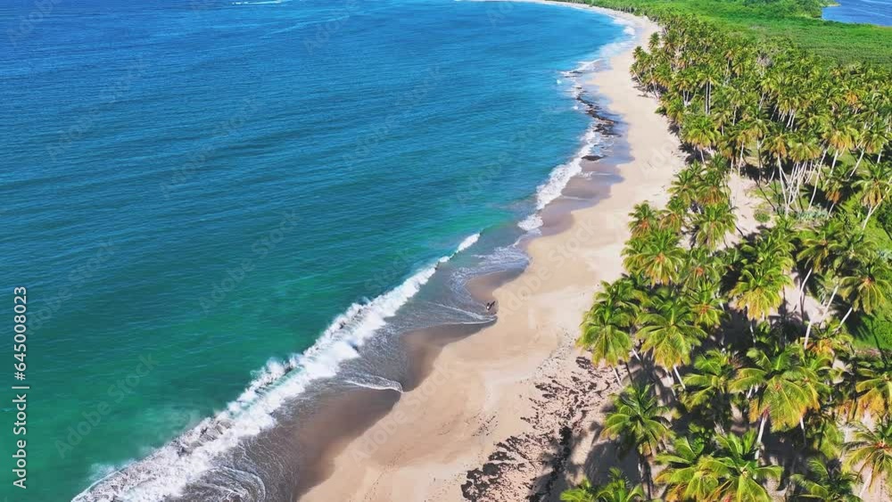 Sandy tropical beach and sea with coconut trees on a paradise island for travel and vacation. Scenic top view of the sea coast in early spring morning. Travel and relaxation at sea. Cruise. Sandy tropical beach and sea with coconut trees on a paradise island for travel and vacation. Scenic top view of the sea coast in early spring morning. Travel and relaxation at sea. Cruise.