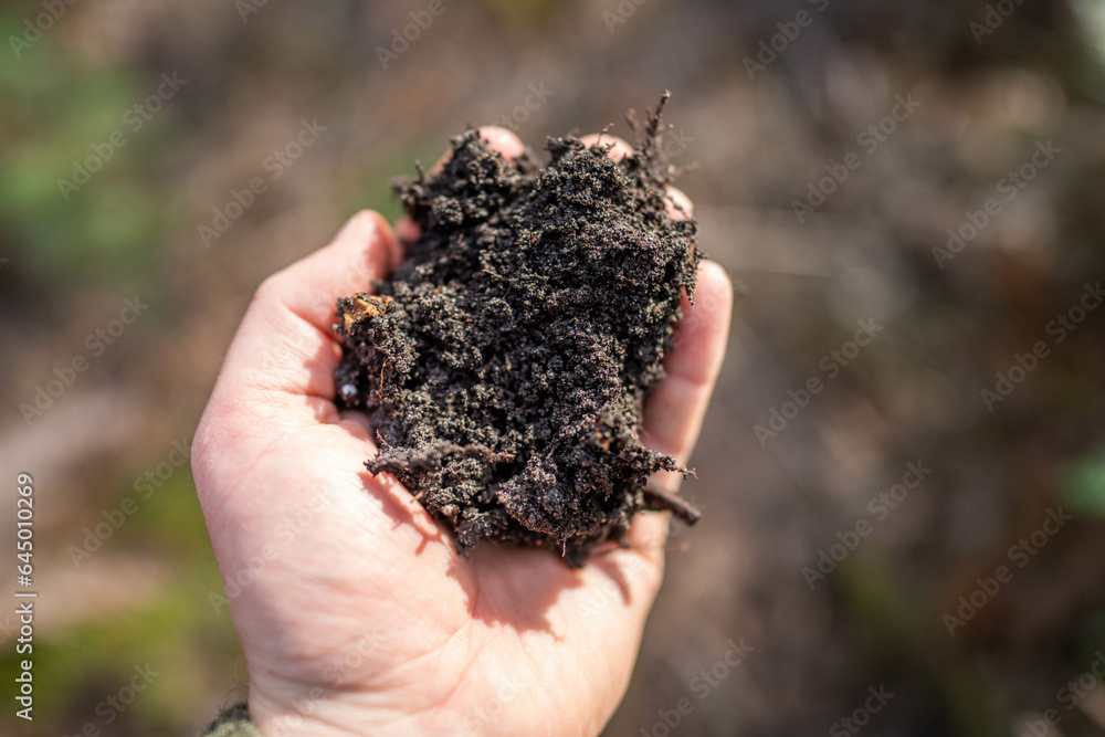 Female farmer hold soil in hands monitoring soil health on a farm in australia Female farmer hold soil in hands monitoring soil health on a farm in australia