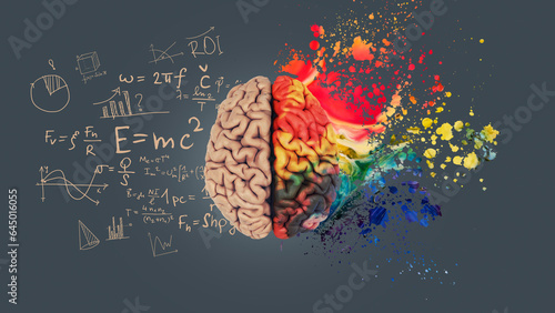 Left right human brain concept. Creative part and logical part with social and business part. Creative art brain explodes with paint splatter. Mathematical successful mindset with formulas.