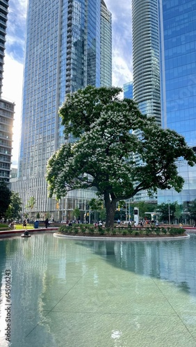 Photography Love park - Toronto