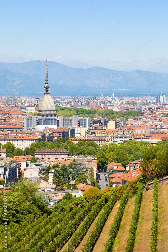 Turin, Italy - panorama with Mole Antonelliana monument, wineyard and Alps mountains