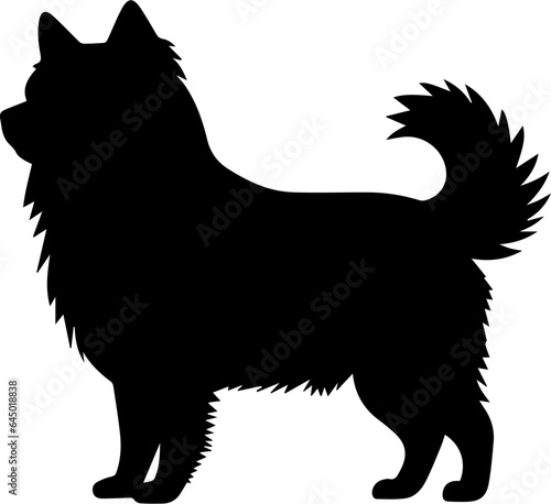 Schipperke flat icon