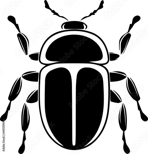 Squash beetle flat icon photo