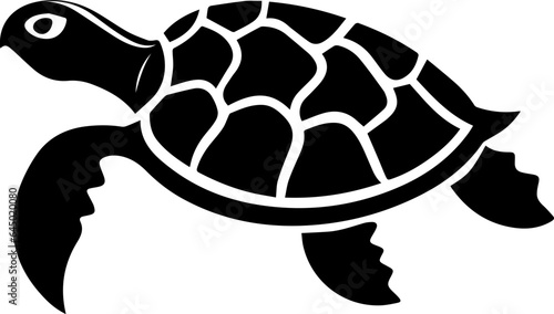 Turtle flat icon