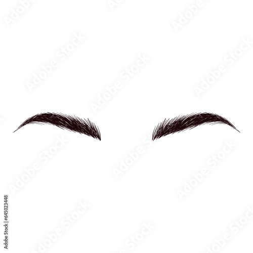 Eyebrows Illustration
