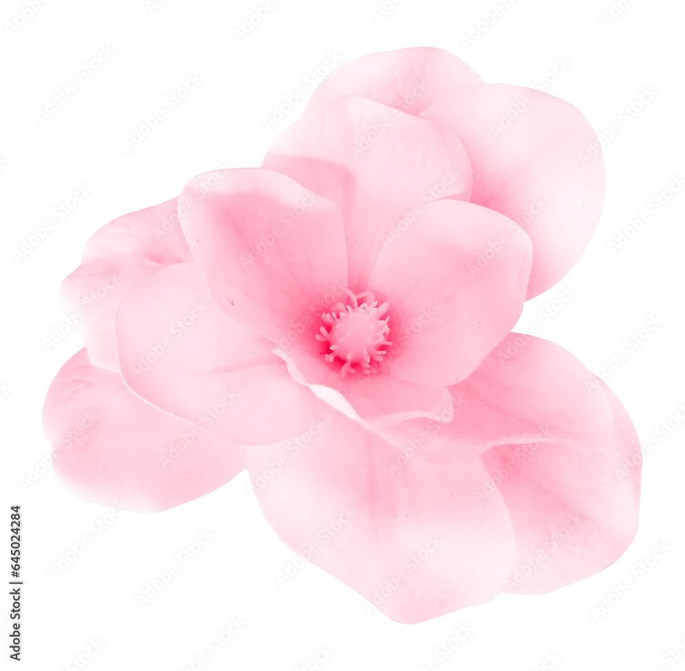 Fantastic flower with pink
petals. Beautiful image isolated on white background. Ideal for the representation of a perfume, aroma or expression of spring summer or freshness Fantastic flower with pink
petals. Beautiful image isolated on white background. Ideal for the representation of a perfume, aroma or expression of spring summer or freshness