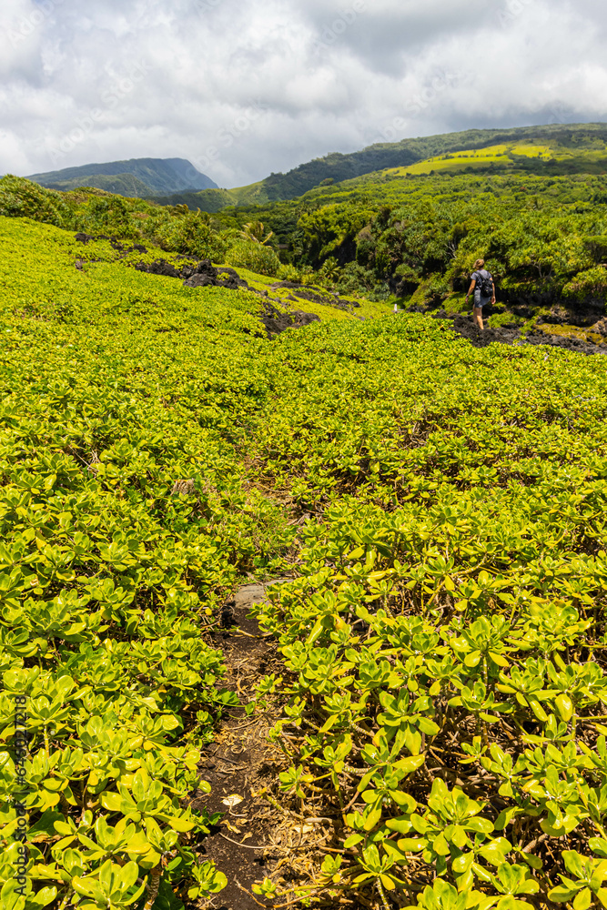 Female Hiker on The Kuloa Point Trail, Haleakala National Park, Maui, Hawaii, USA