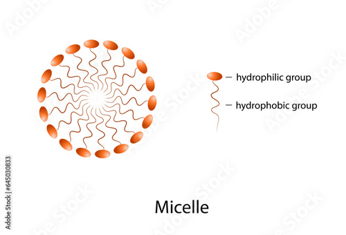A micelle or micella is an aggregate of surfactant amphipathic lipid molecules dispersed in a liquid, forming a colloidal suspension photo