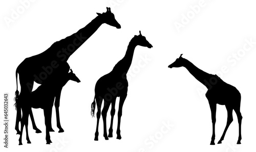 animal, silueta, vector, ilustración, jirafas