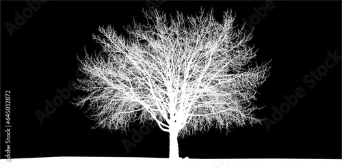 emplumar, ave, blando, negro, blando, alumbrado, arbol, gran arbol