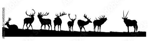 silueta, atardecer, giraffa, desierta, ciervos