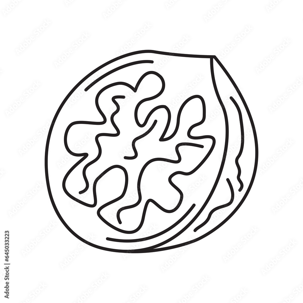 Black and white image of a walnut. Vector image, eps Black and white image of a walnut. Vector image, eps