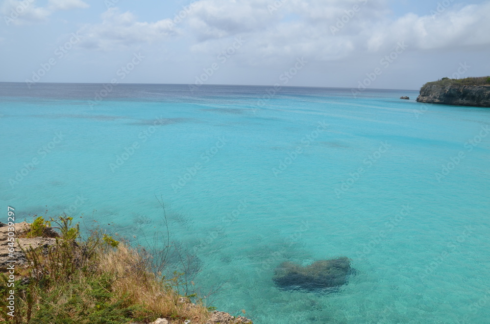 landscape with plants, rocks and the wonderful turquoise water of the caribbean sea at Curaçao